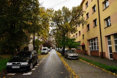 Tarnow, Polonya - 10 Ekim 2025: Tarnow Polonya 'da şehir sokağı sonbahar yağmurundan sonra ağaçlarla ve park halindeki arabalarla doldu.