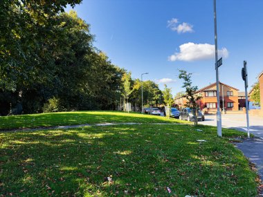 Güneşli Manchester sahnesi, yeşil park, ağaçlar ve cadde boyunca bir sıra ev..