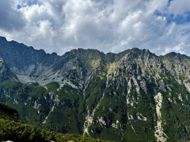 Polonya 'nın Zakopane kentindeki orman yamaçlarının üzerindeki engebeli tepeler dramatik bulutlar ve doğal manzarayla dolu..