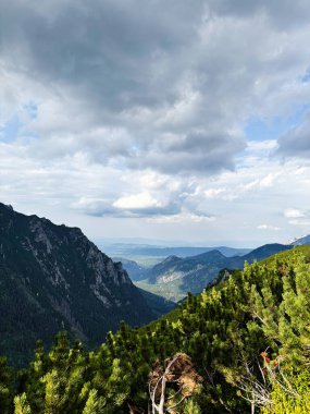 Zakopane 'de nefes kesen alp manzarası. Çam önü, engebeli uçurumlar ve dramatik gökyüzünün altındaki geniş vadi..