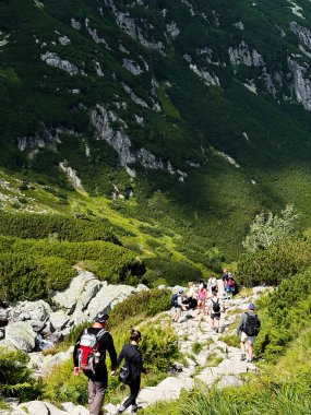 Zakopane, Polonya - 09 Ağustos 2025: Yürüyüşçüler Polonya 'nın Zakopane kentindeki yeşil yamaçlarda kayalık bir dağ yolundan geçtiler.