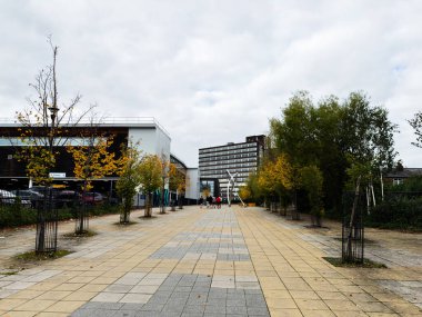 Manchester, İngiltere - 30 Eylül 2025: Manchester 'da ağaçlar, modern mimari ve sonbaharda gezinen bir grup.