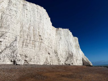 Doğu Sussex, İngiltere 'deki Seven Sisters sahil şeridi boyunca çakıllı bir plajın üzerinde görkemli tebeşir kayalıkları yükseliyor..