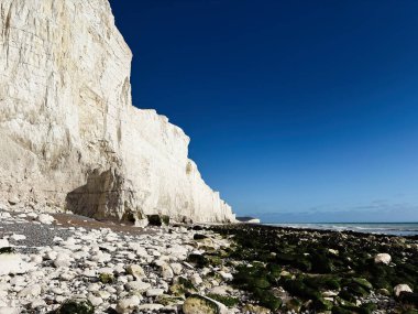 Görkemli tebeşir kayalıkları berrak mavi gökyüzünün altında çakıllı bir kıyıdan yükseliyor..