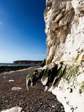 Beyaz tebeşir uçurumları parlak güneşin altında yosunlarla kaplı kayalık çakıl taşlı bir sahilde belirdi bugün..