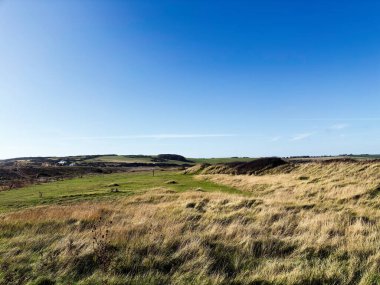 Seven Sisters Kayalıkları 'ndaki engin kıyı manzarası. Açık mavi gökyüzünün altında otlar ve kumullarla birlikte..