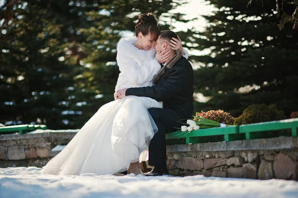 Bröllopsparet på vinterdag — Stockfoto