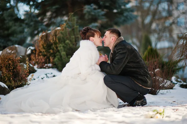 Casal de casamento no dia de inverno — Fotografia de Stock