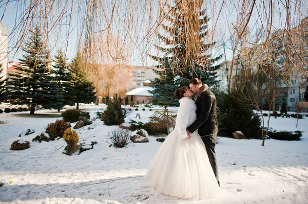 wedding couple at the winter day