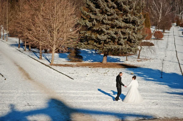 Para ślub w zimowe wieczory — Zdjęcie stockowe