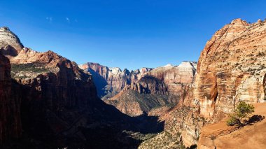 Geniş çöl kanyonu, yüksek kızıl kaya kayalıkları, derin gölgeler ve açık mavi bir gökyüzü. Zion Ulusal Parkı