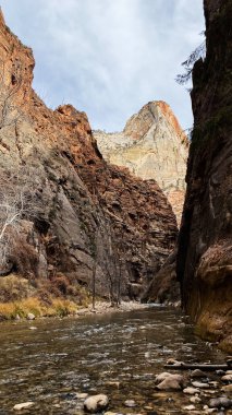 Utah 'taki sakin bir kanyon sahnesinde bir nehir, yüksek kızıl kayalıklar ve çıplak ağaçlar var. Zion Ulusal Parkı