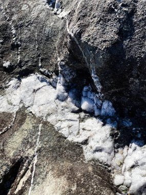 Kuzey Carolina kıyılarında engebeli kaya oluşumları ve beyaz damarların yakın çekimi.