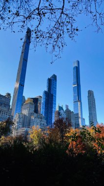 New York, ABD - 19 Kasım 2023 Modern cam kuleleri ve mavi gökyüzü tarafından çerçevelenmiş sonbahar yaprakları ile canlı New York silueti.