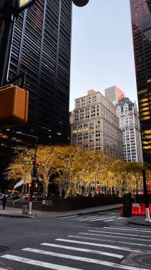 New York, ABD - 19 Kasım 2023: Işıklı ağaçlar, yüksek binalar ve yaya geçişlerinin yer aldığı canlı bir New York sokak manzarası.