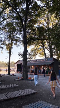 Illinois, ABD - 20 Ekim 2023: Ziyaretçiler Güney Illinois 'de uzun ağaçların altındaki bir çiftlikte balkabağı vitrininde geziniyorlar.