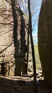 Güney Illinois 'de ağaçlı ve kayalık zeminli uzun kumtaşı duvarlar arasında Sunlit Jackson Falls kanyonu. Shawnee Ulusal Ormanı