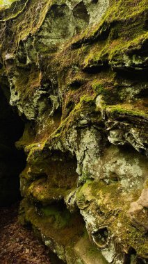 Bir mağaranın içindeki yosunlu kayalık kayalar ve canlı yeşil yosunlar..
