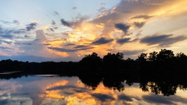 Güney Illinois gölünün üzerinde altın bir günbatımı siluetli ağaçlar ve suda çarpıcı bir yansıma.