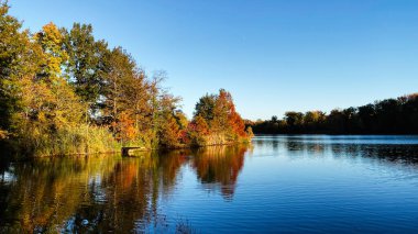 Sakin bir sonbahar gölü. Dalgalı ağaçlar suya yansıyor. Bugün Güney Illinois 'in sakin manzarası.