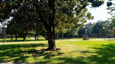 Güney Illinois 'deki gölgeli park çimenliği Ağaçlar ve uzak binalarla dolu güneşli bir günde.