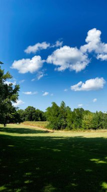 Pofuduk bulutlar, yeşil çimenler ve Güney Illinois 'de huzurlu bir park manzarasıyla aydınlık bir gün..