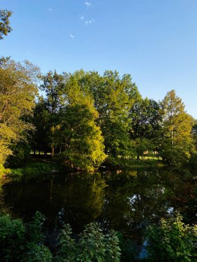 Berrak mavi gökyüzünün altında yeşil ağaçlarla yansıtan bir göletin huzurlu manzarası..