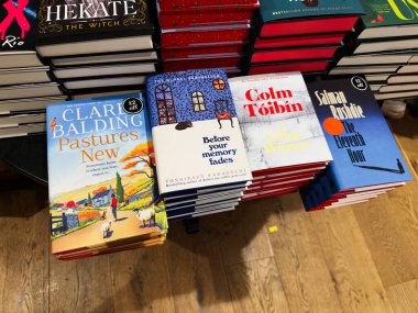 Manchester, İngiltere - 15 Kasım 2025: Yığınlanmış romanlar ve renkli kapaklar okuyucular için canlı ve davetkar bir öğrenme anı yarattı.