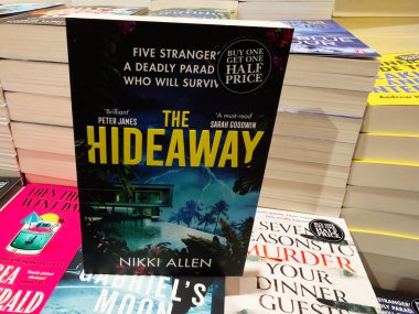 Manchester, İngiltere - 15 Kasım 2025: Nikki Allen 'ın Parlak renklerle ve istiflenmiş başlıklarla bir kitapçıda sakladığı Cesur Kapak.