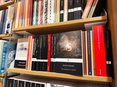 Manchester, İngiltere - 15 Kasım 2025: Ahşap raflarda renkli karton kapaklı ve ciltli romanlar sergilenen klasik edebiyat koleksiyonu.