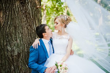 evlilik çift Park'ta yürüyordunuz aşık