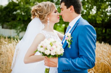 evlilik çift güneşli buğday üzerinde