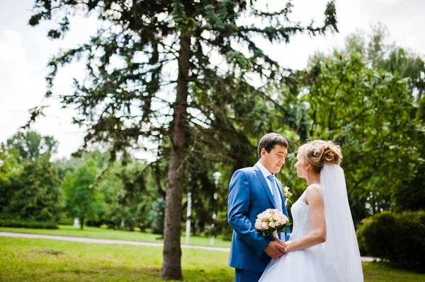 Casal de casamento apaixonado andando no parque — Fotografia de Stock