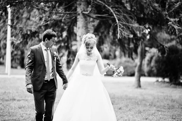 Couple de mariage amoureux marche dans le parc — Photo