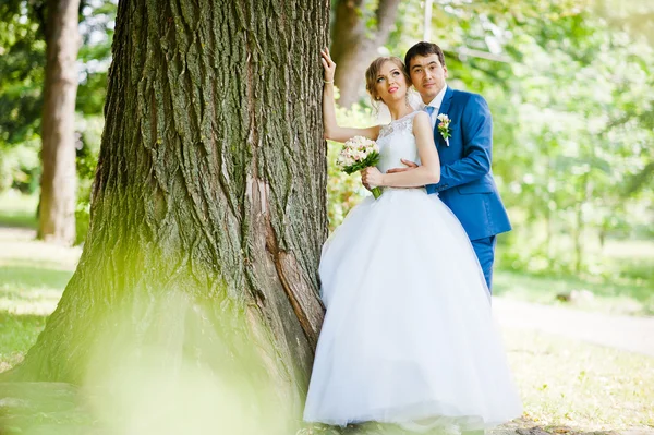 Matrimonio coppia innamorata passeggiando nel parco — Foto Stock