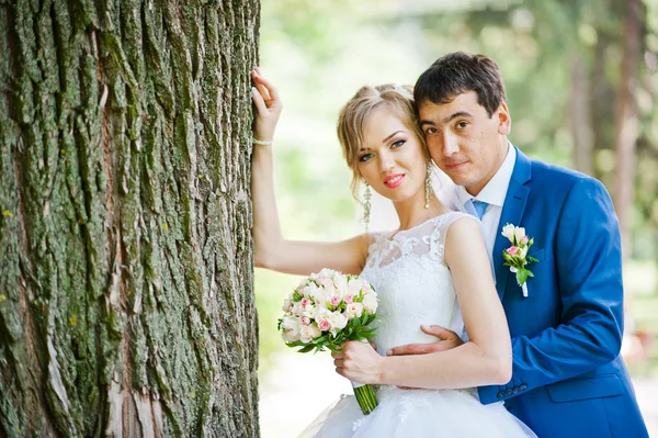 Casal de casamento apaixonado andando no parque — Fotografia de Stock