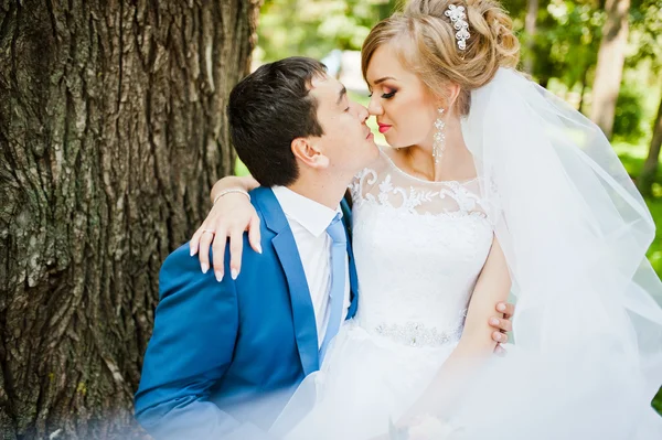 Esküvő a pár a szerelem park séta — Stock Fotó