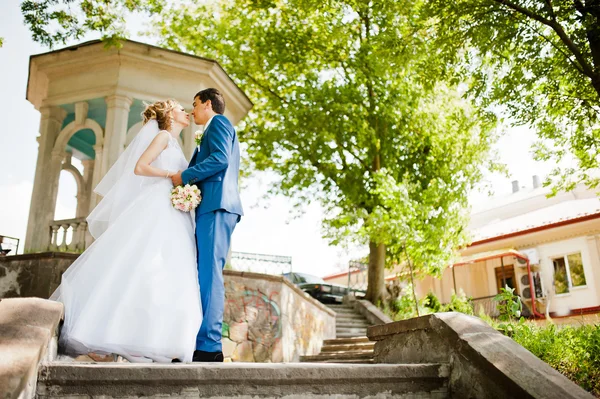 Casal de casamento apaixonado andando no parque — Fotografia de Stock