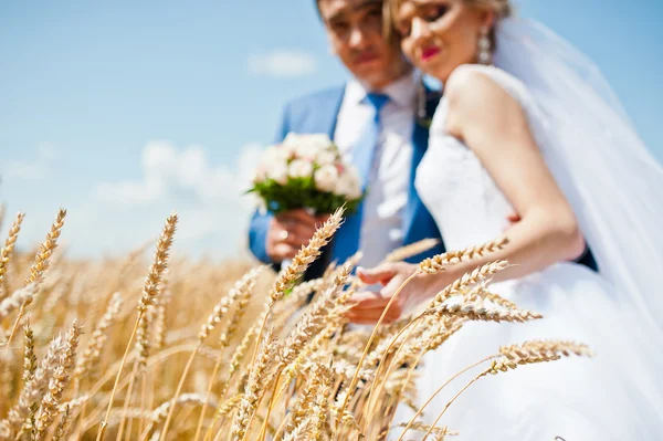 Couple de mariage le jour ensoleillé sur le blé — Photo