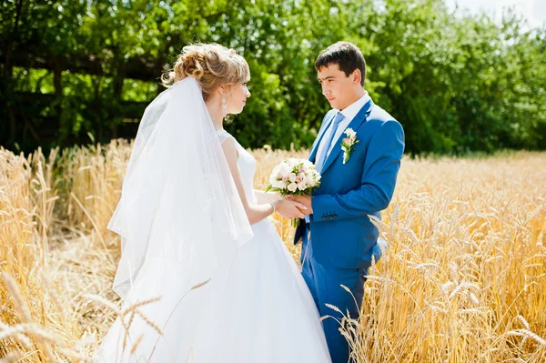 Couple de mariage le jour ensoleillé sur le blé — Photo