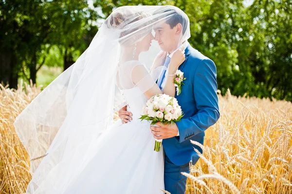 Couple de mariage le jour ensoleillé sur le blé — Photo