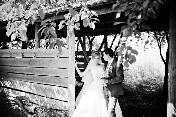 Свадебная пара в саду возле деревянного здания — стоковое фото
