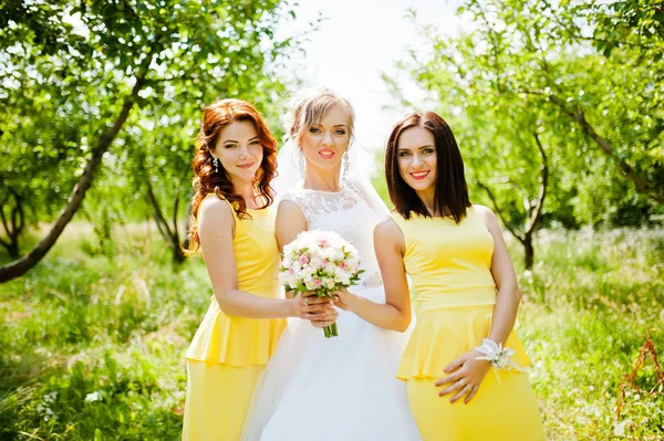Bride with bridesmaids at garden — Stock Photo, Image