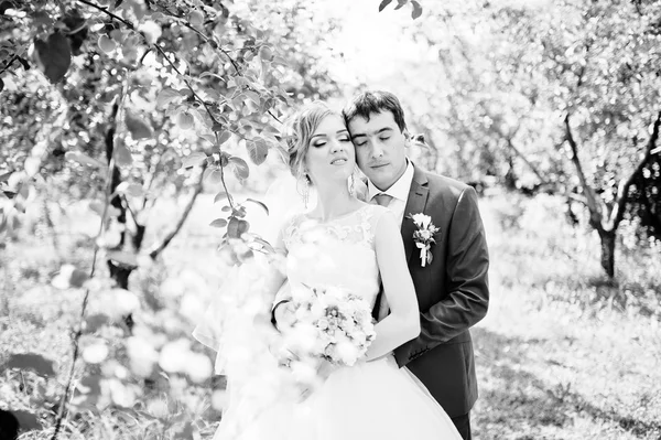 Свадебная пара обнимает в саду — стоковое фото