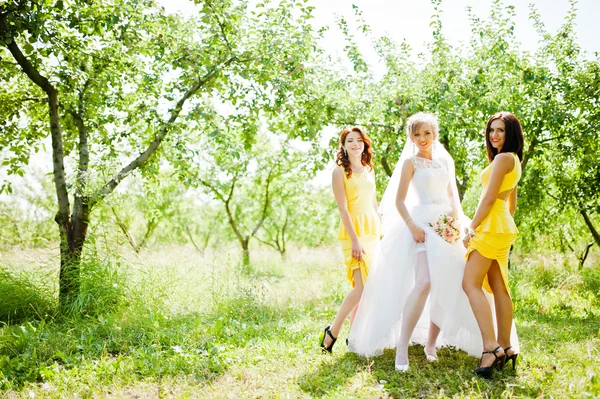 Noiva com damas de honra no jardim — Fotografia de Stock