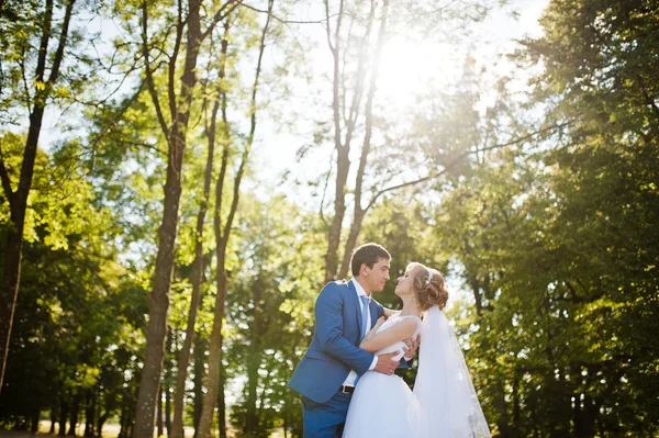 新婚夫妇在森林 — 图库照片