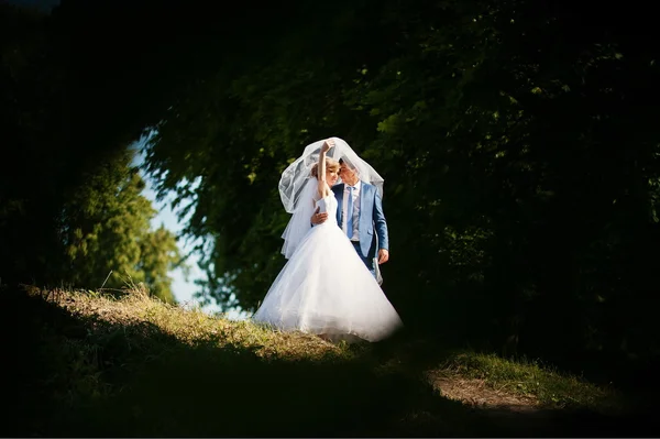 Wedding couple at forest — Stock Photo, Image