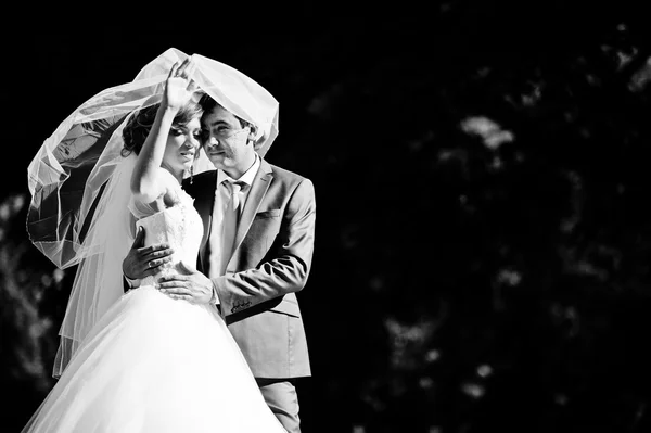 Esküvői pár az erdőben — Stock Fotó