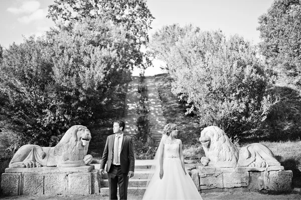 Tender matrimonio coppia sfondo vecchia architettura del castello — Foto Stock