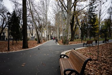 Chisinau, Moldova - 22 Kasım 2025: Cisinau Moldova 'da sakin bir patika boyunca sıraları, ağaçları ve sonbahar yaprakları olan sakin bir park.